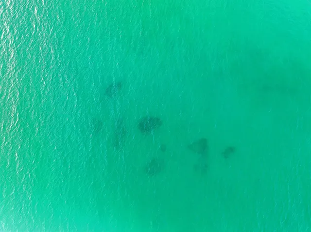 $6,999,000 | 409 Coopersmith Lane, Inlet Beach, FL 32461