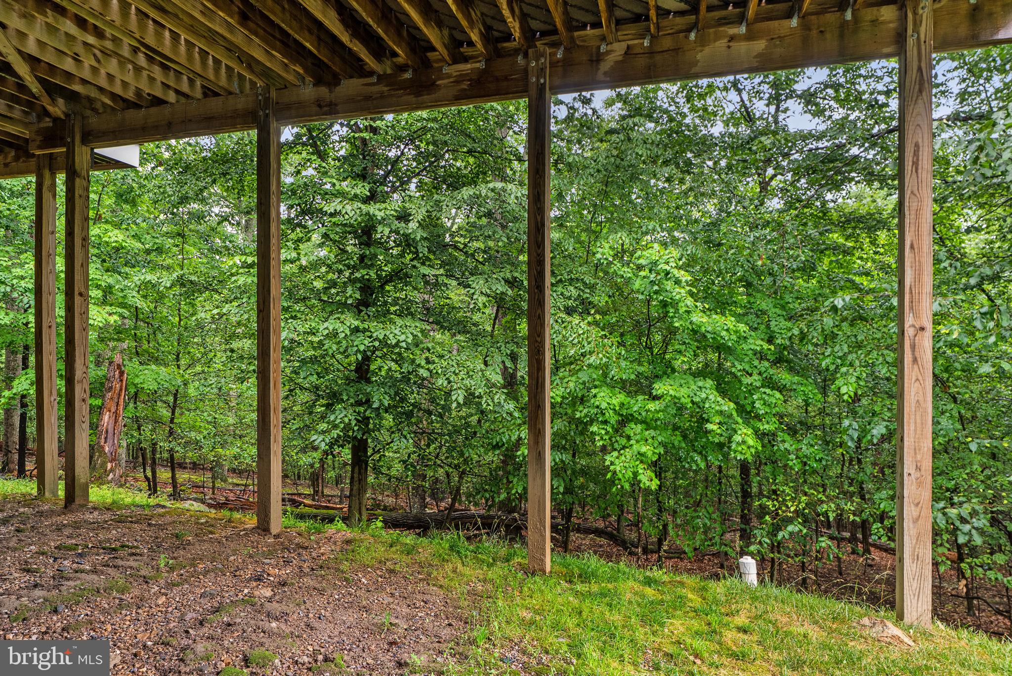 6822 West Shavano Road New Market, MD 21774 - Photo 54 of 59 Backyard