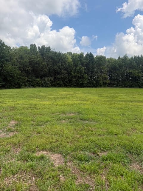 0 Friendship Road Cross Plains, TN 37049 - Photo 5 of 8