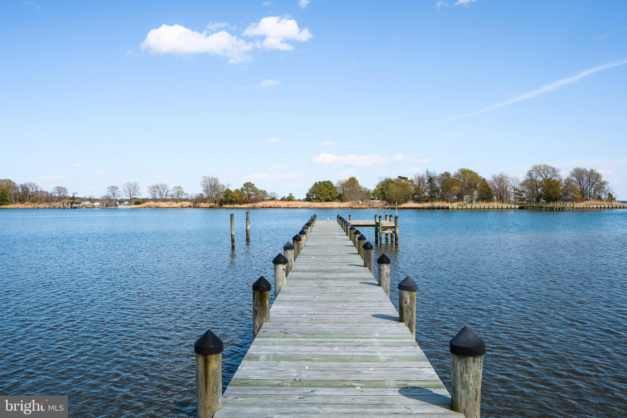 1901 Cox Neck Road Chester, MD 21619 - Photo 74 of 95