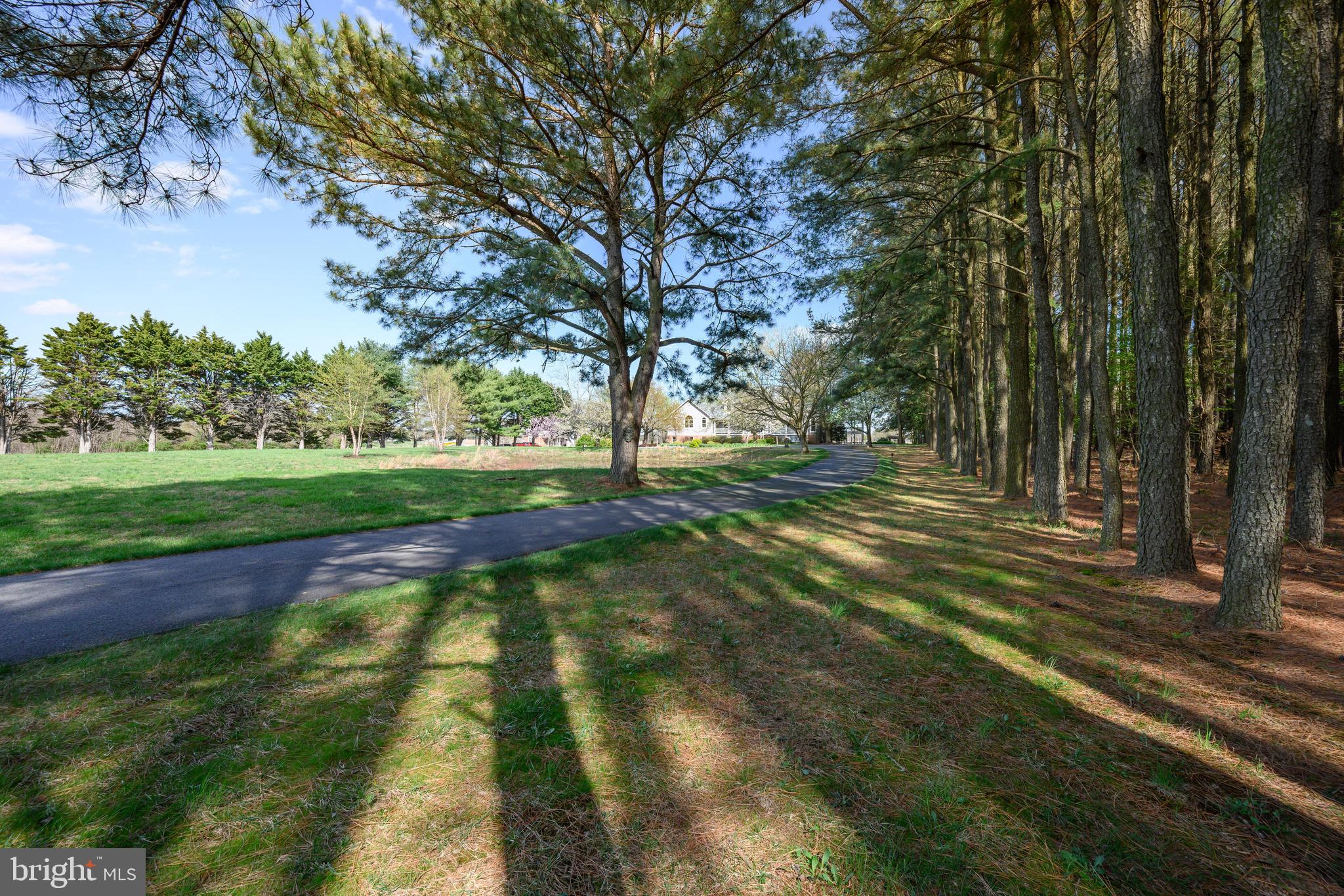 1901 Cox Neck Road Chester, MD 21619 - Photo 78 of 95 Driveway entrance