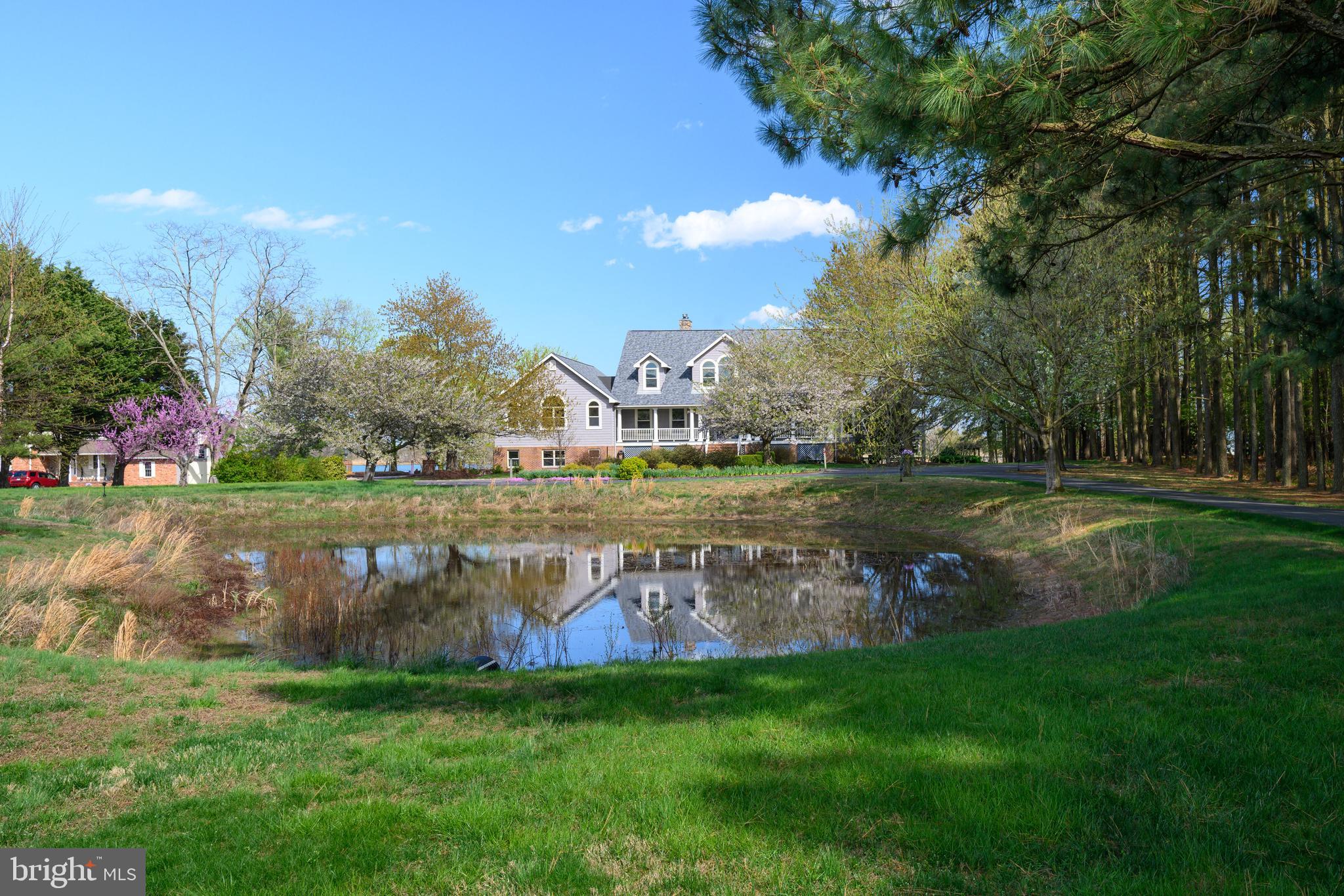 1901 Cox Neck Road Chester, MD 21619 - Photo 79 of 95 Two of two ponds
