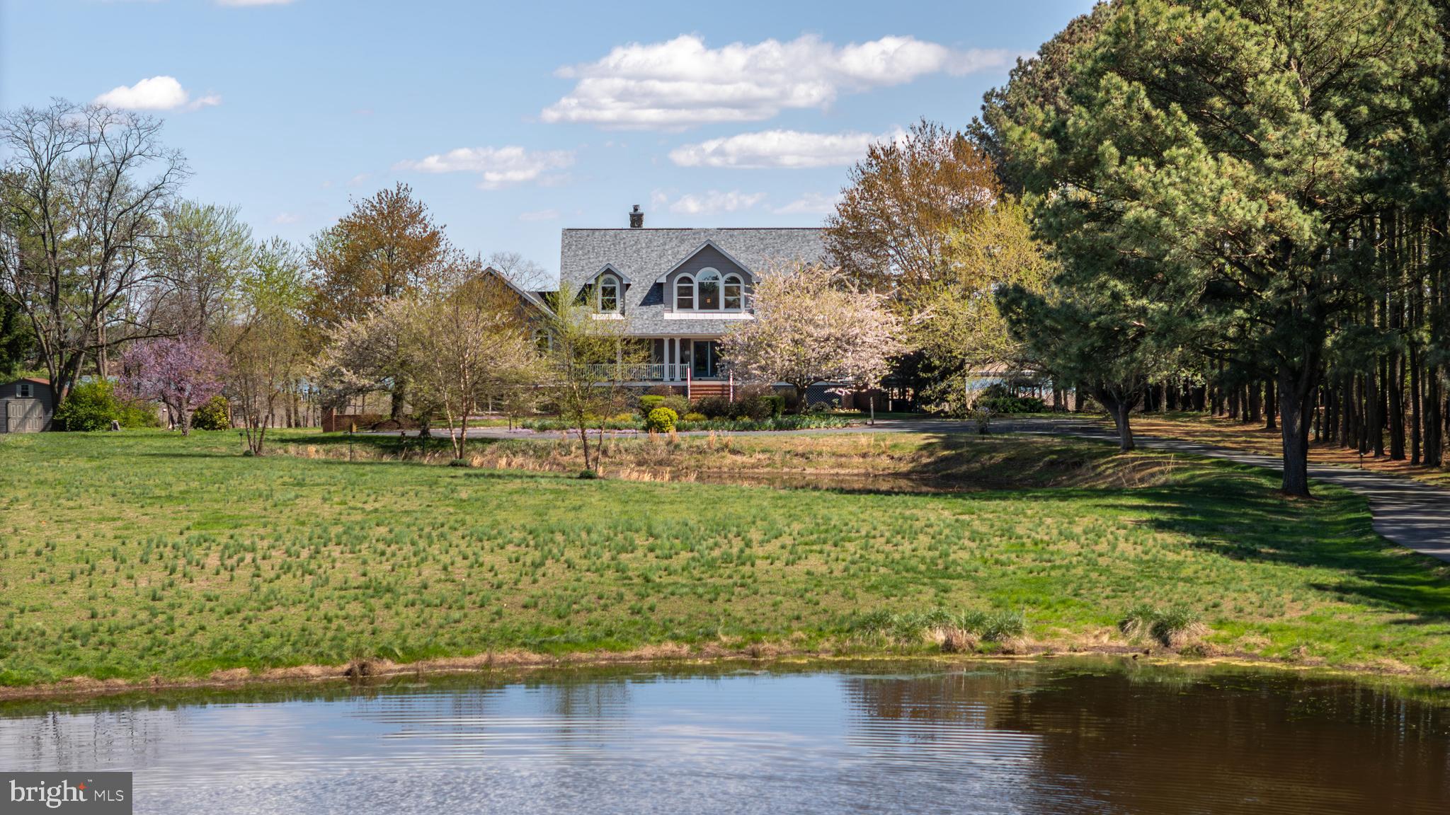 1901 Cox Neck Road Chester, MD 21619 - Photo 90 of 95 View from pond