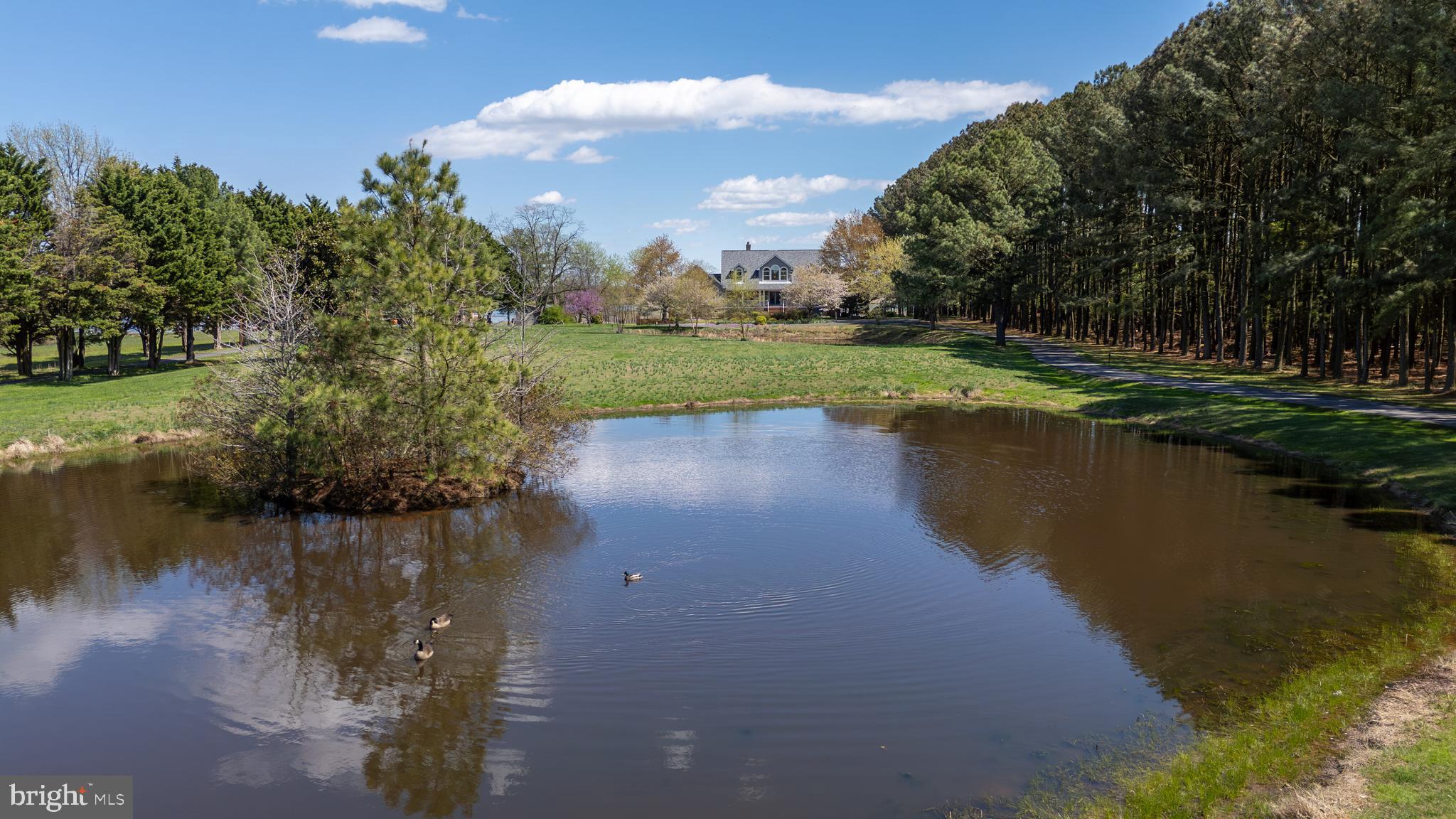 1901 Cox Neck Road Chester, MD 21619 - Photo 92 of 95