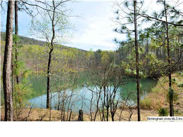13 Innisbrook Lane Birmingham, AL 35242 - Photo 30 of 32