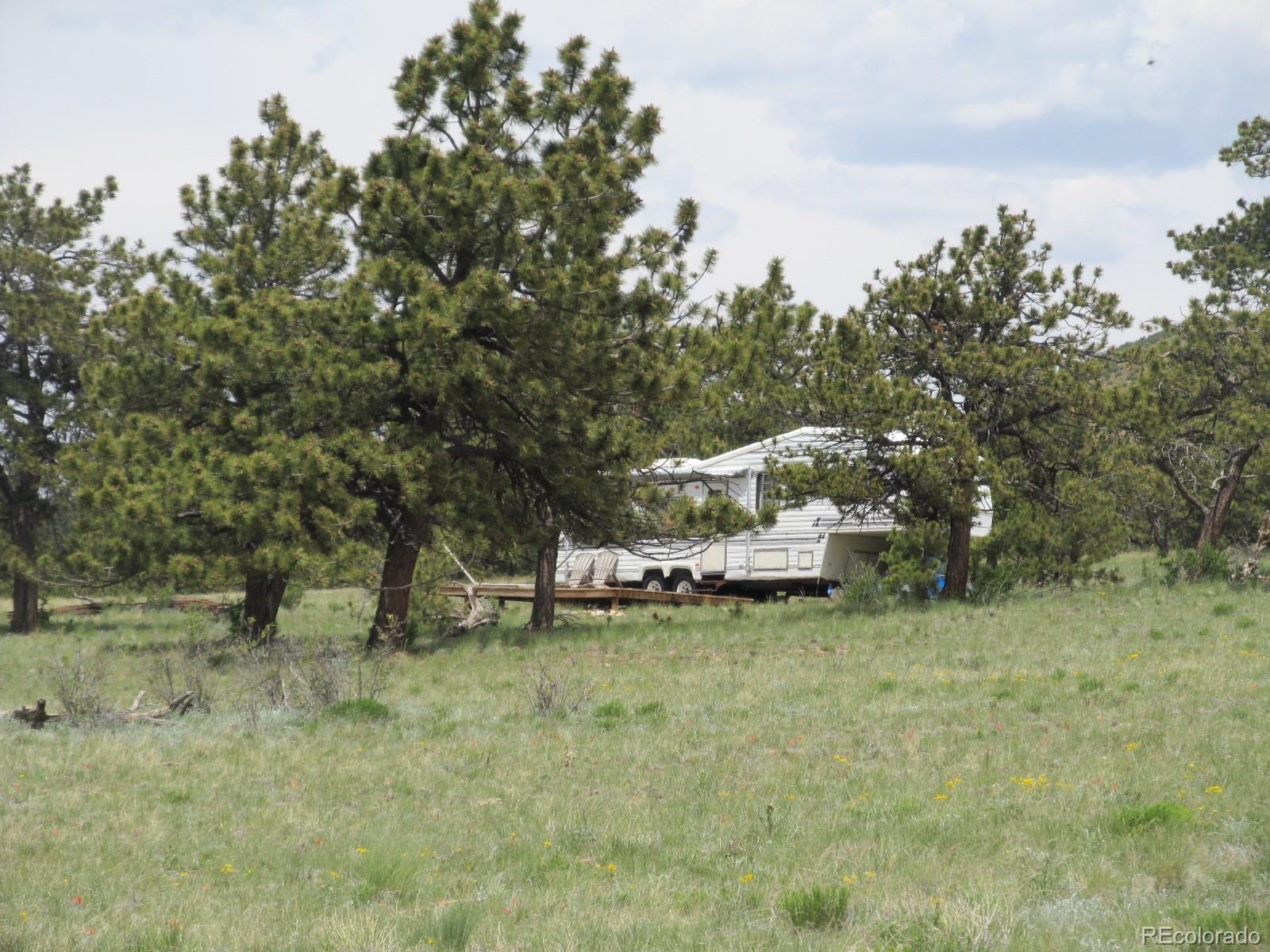 1035 Jefferson Road Hartsel, CO 80449 - Photo 5 of 9 a view of a yard with trees