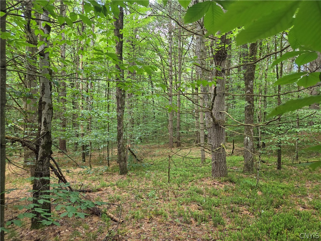 River Road Port Leyden, NY 13433 - Photo 8 of 12
