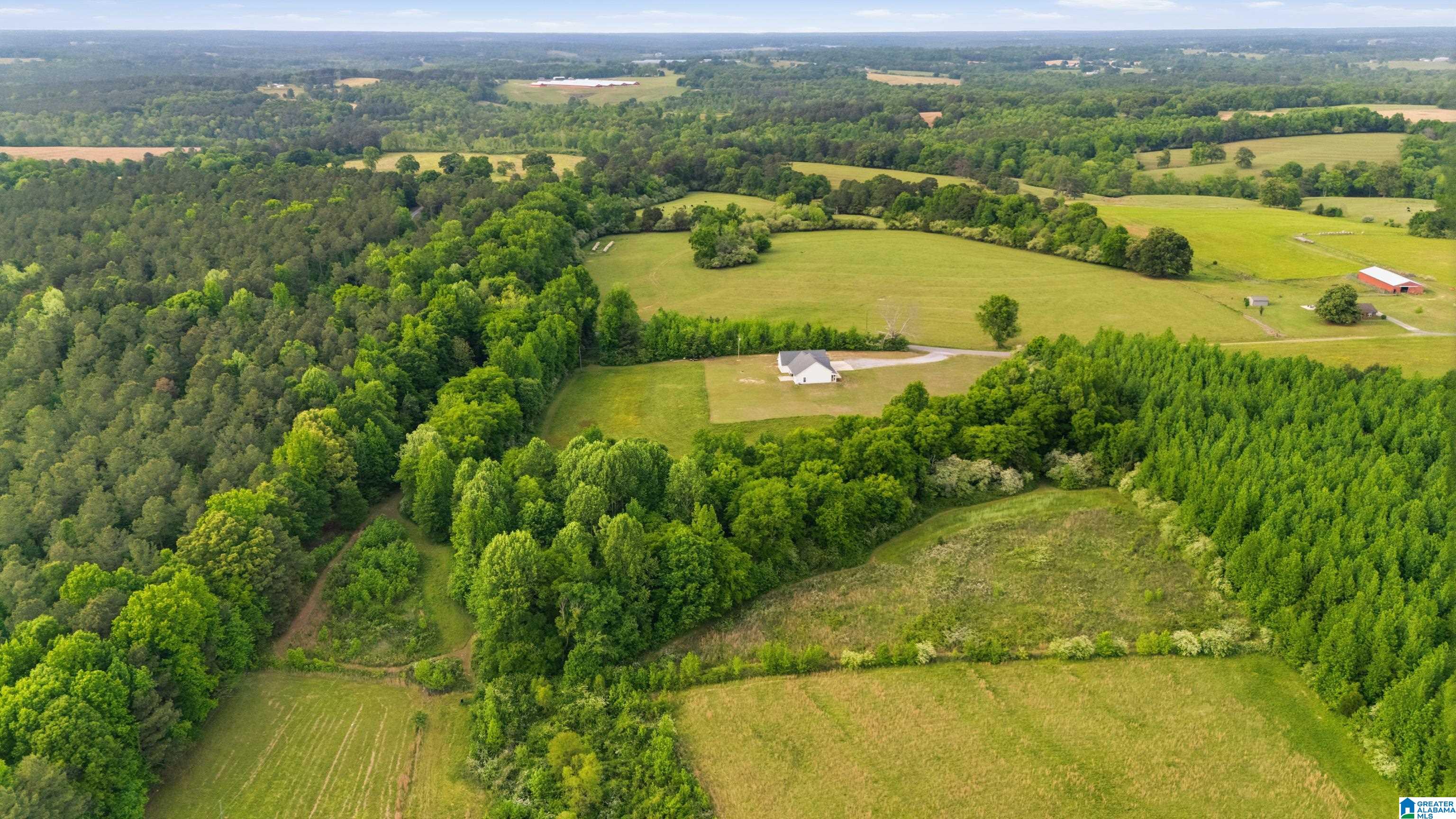 862 Hipp Road Blountsville, AL 35031 - Photo 49 of 50