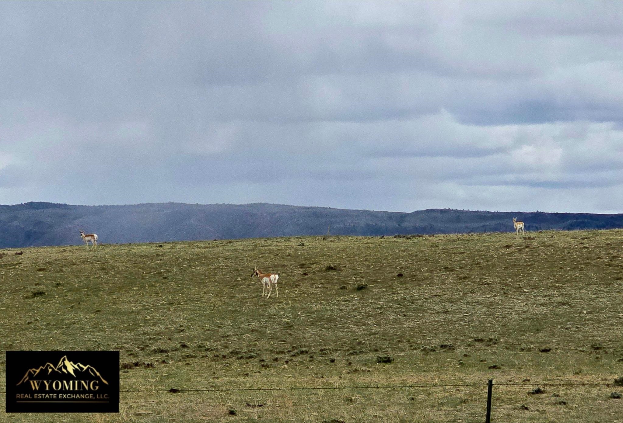 Tbd Tbd Poison Spider/zero Rd/10mile Casper, WY 82604 - Photo 4 of 16
