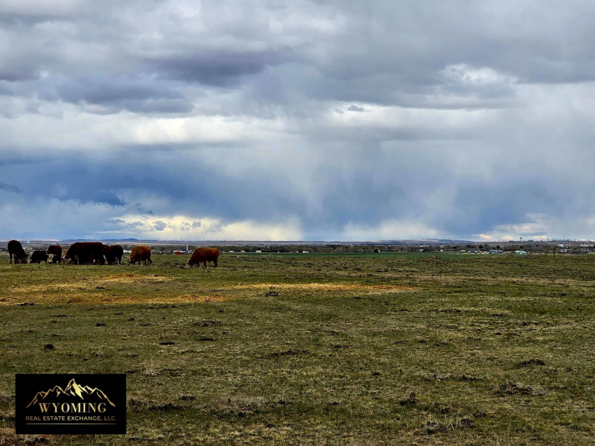 Tbd Tbd Poison Spider/zero Rd/10mile Casper, WY 82604 - Photo 8 of 16