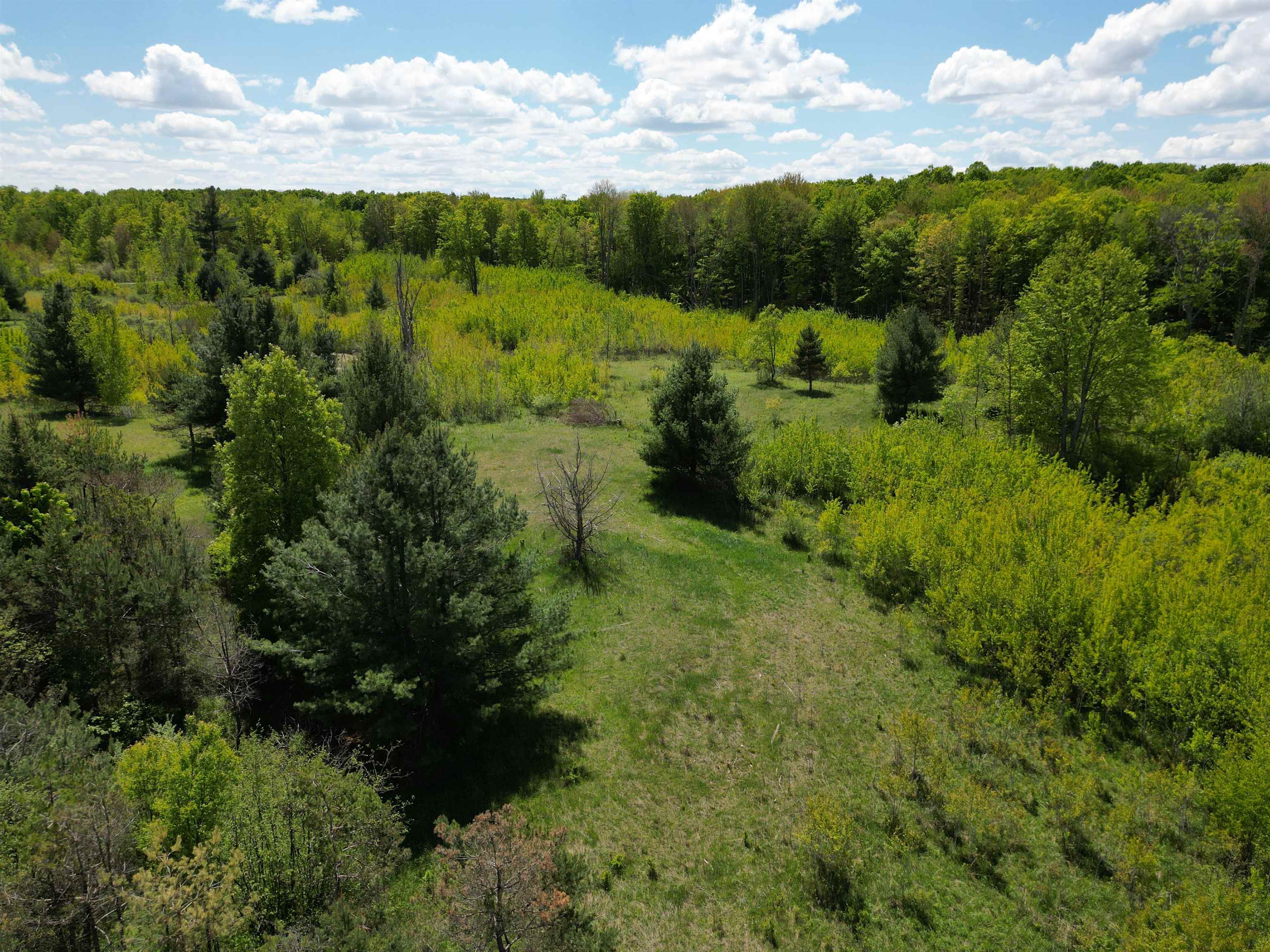 19 Mile Road Kingsley, MI 49649 - Photo 22 of 30