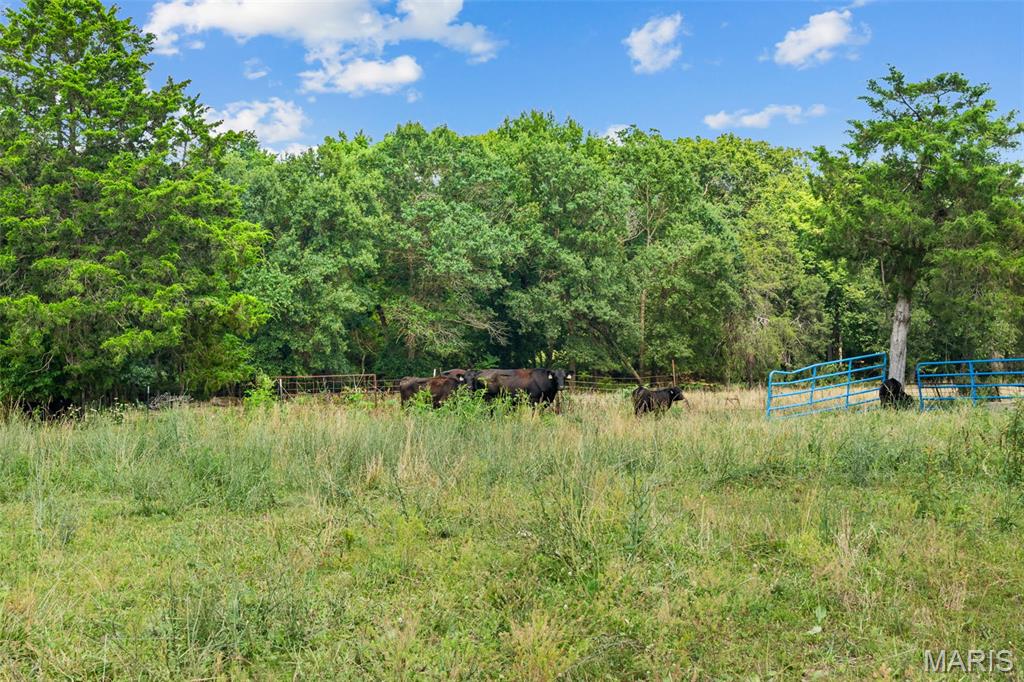 3810 Sunny Road Washington, MO 63090 - Photo 47 of 59