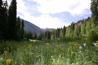 0 West Lake Creek Road Edwards, CO 81632 - Photo 1 of 7 Primary Photo
