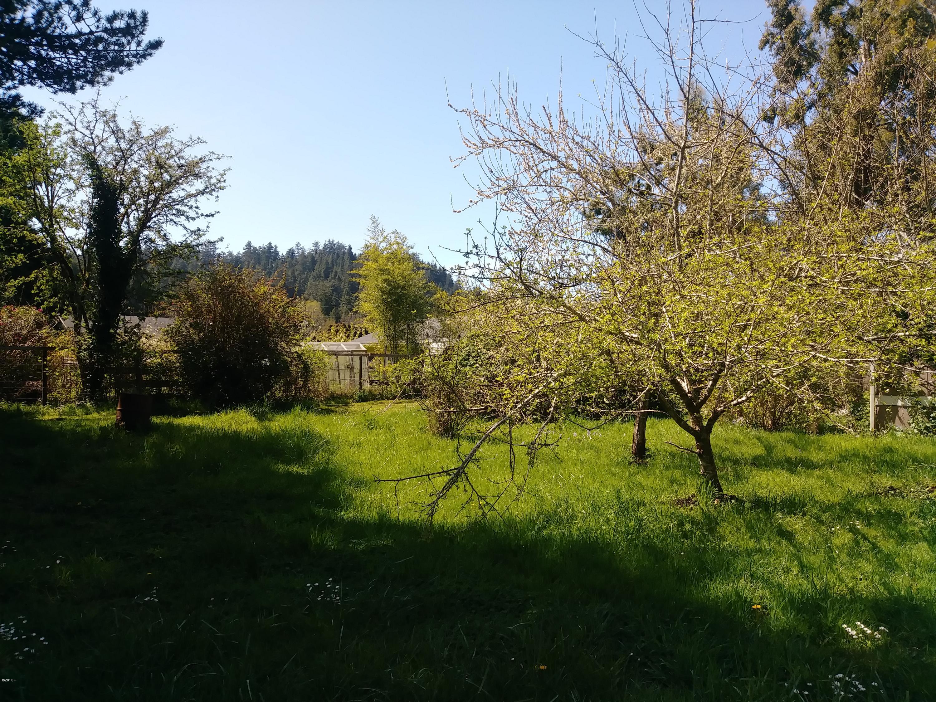 511 Southeast Moffitt Road Waldport, OR 97394 - Photo 12 of 37 Back Yard