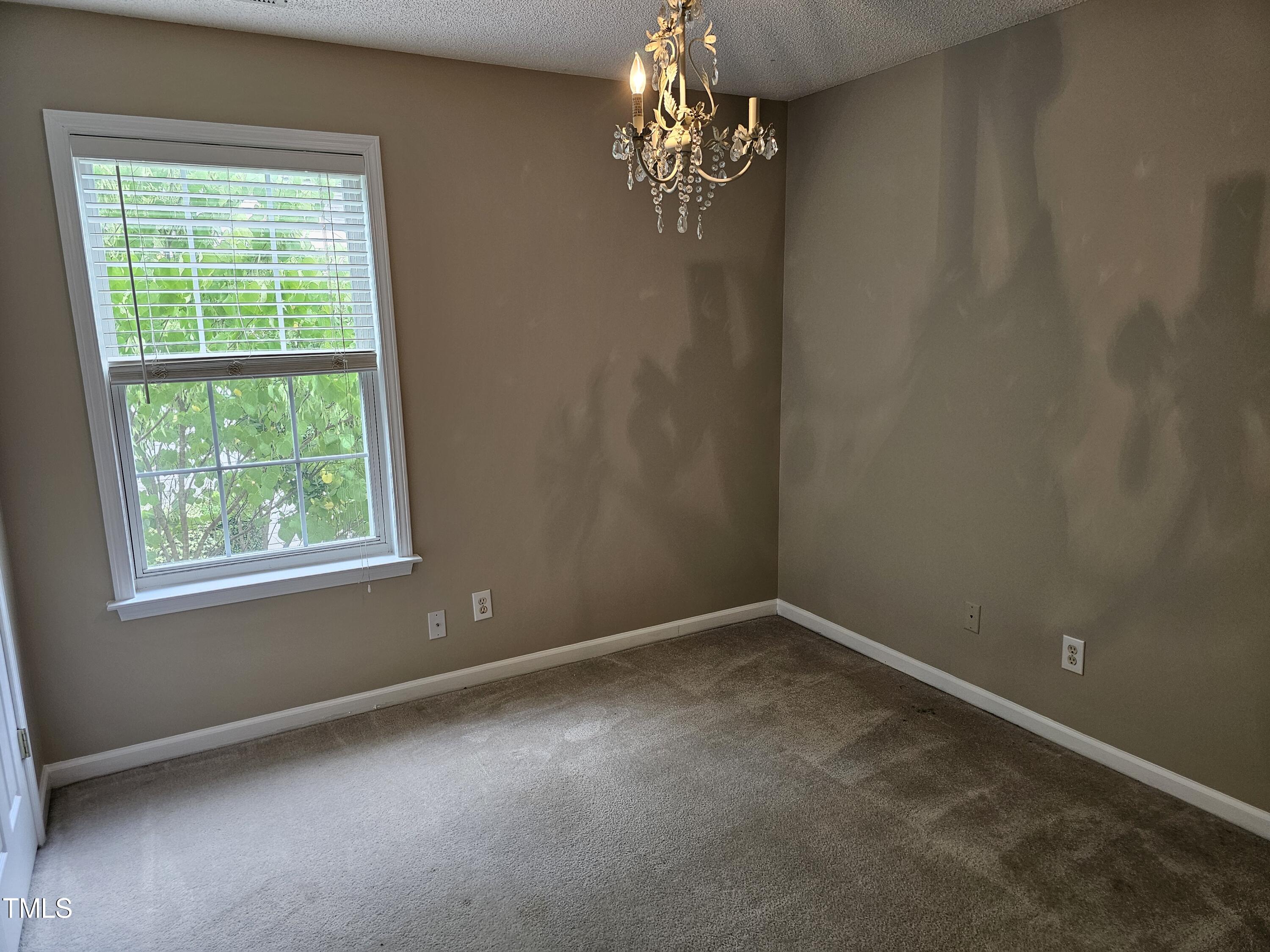 3 Kilbreth Avenue Durham, NC 27713 - Photo 35 of 48 20240703_145705