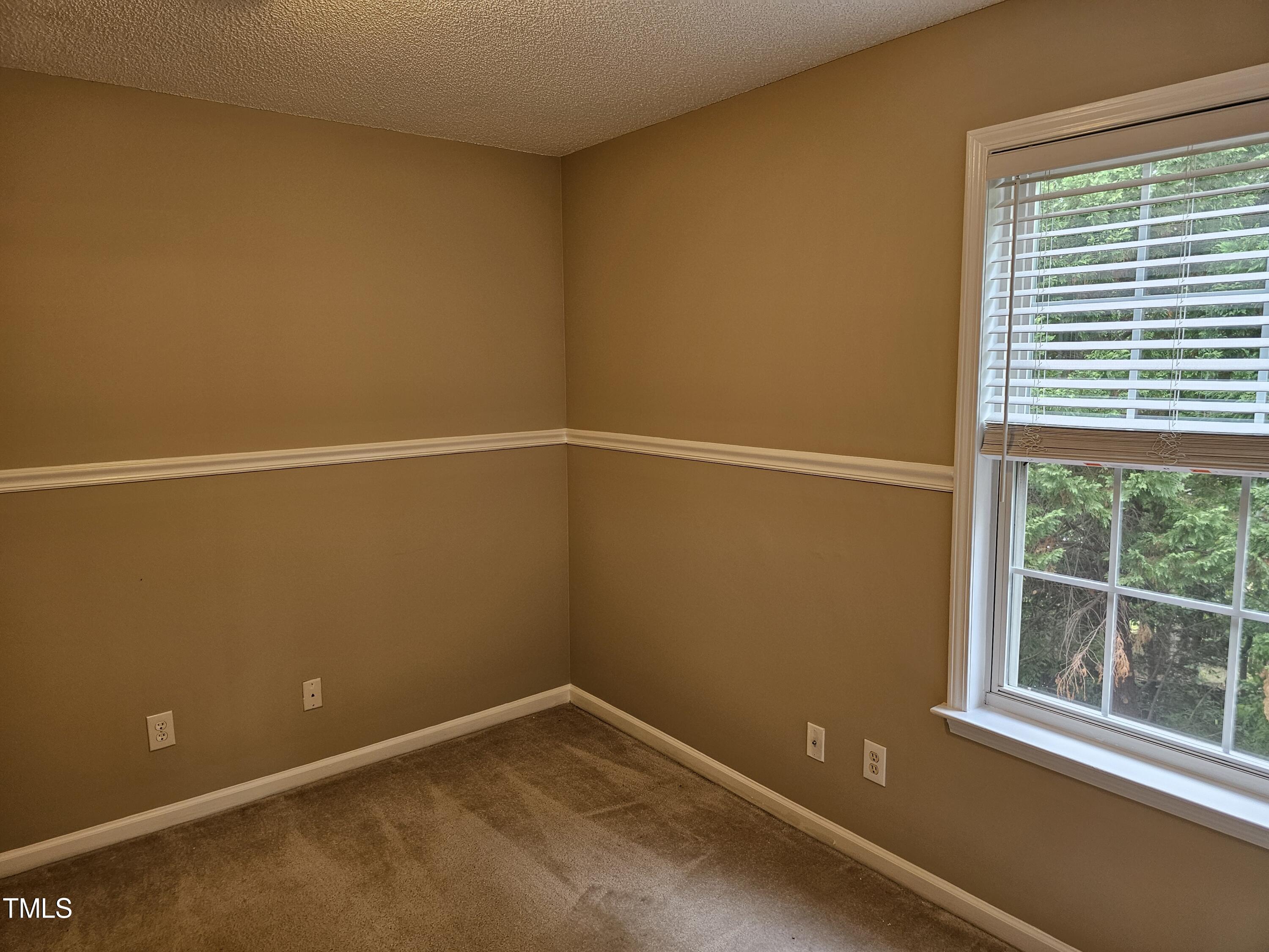 3 Kilbreth Avenue Durham, NC 27713 - Photo 37 of 48 20240703_145724