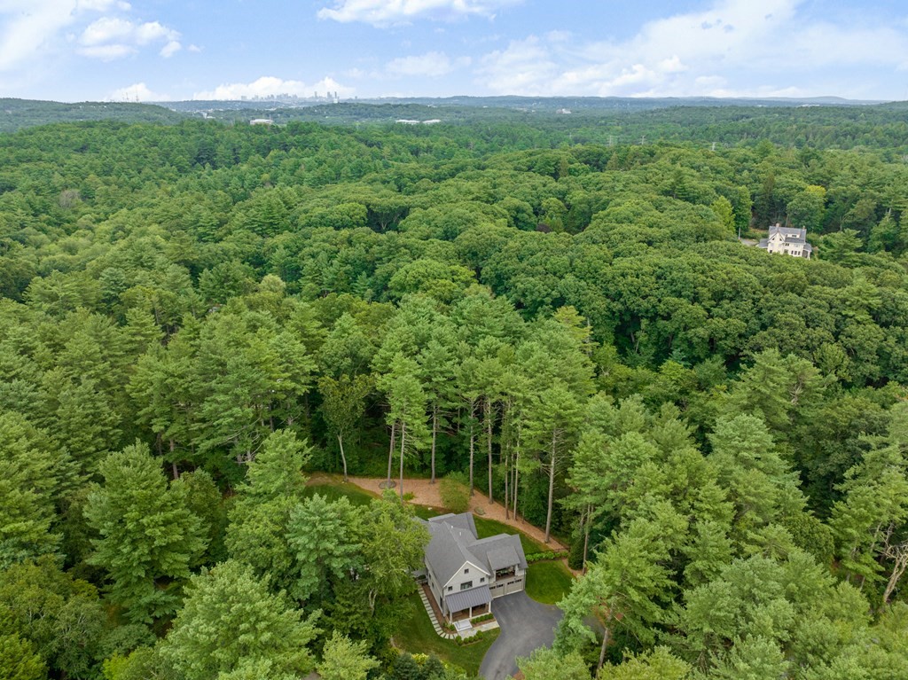 103 Conant Road Weston, MA 02493 - Photo 42 of 42 a view of a big yard with plants and large trees