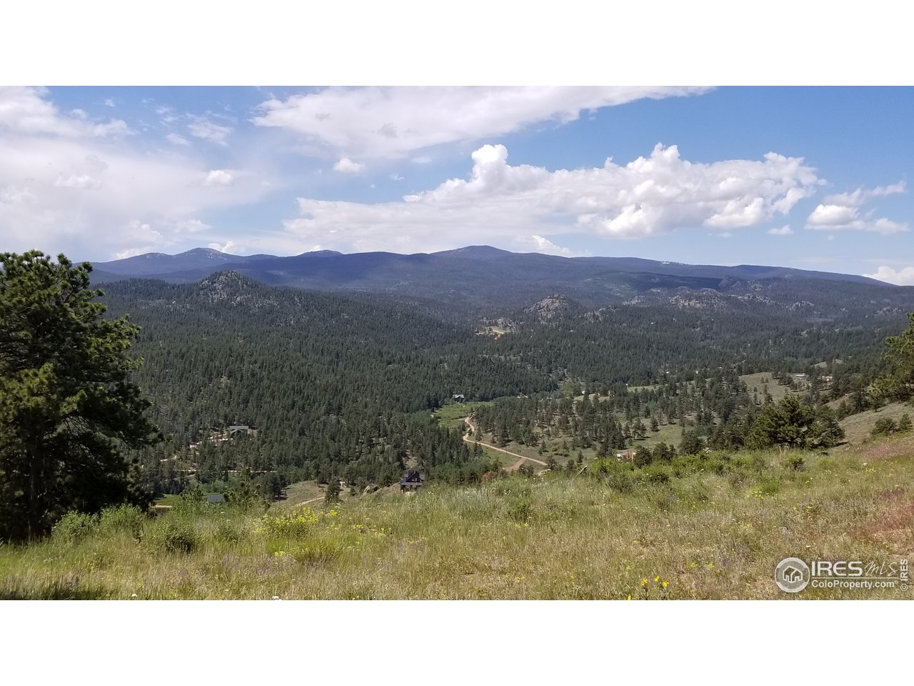 1330 Crow Road Red Feather Lakes, CO 80545 - Photo 2 of 11 Gallery Image 2