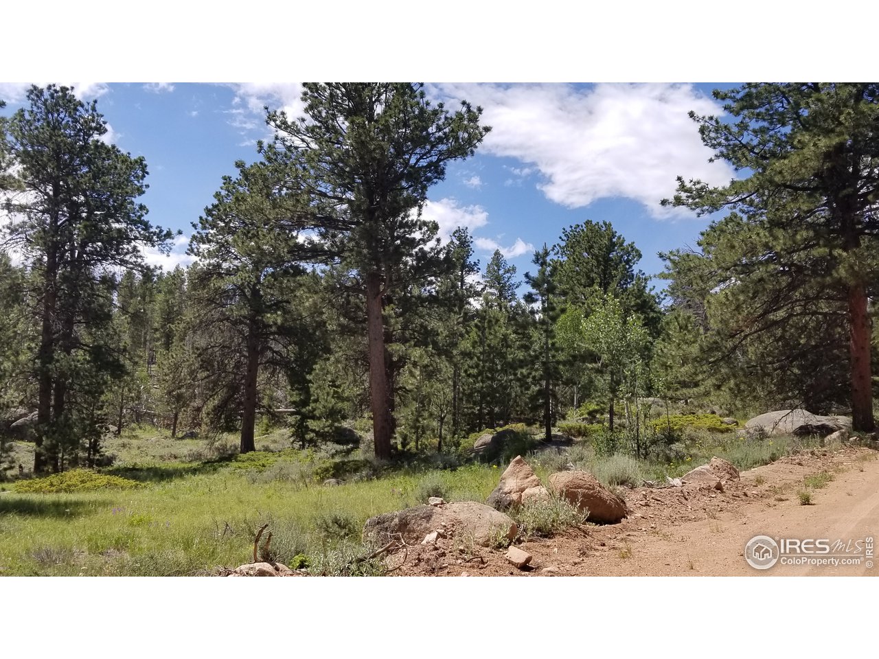 1330 Crow Road Red Feather Lakes, CO 80545 - Photo 3 of 11 Gallery Image 3