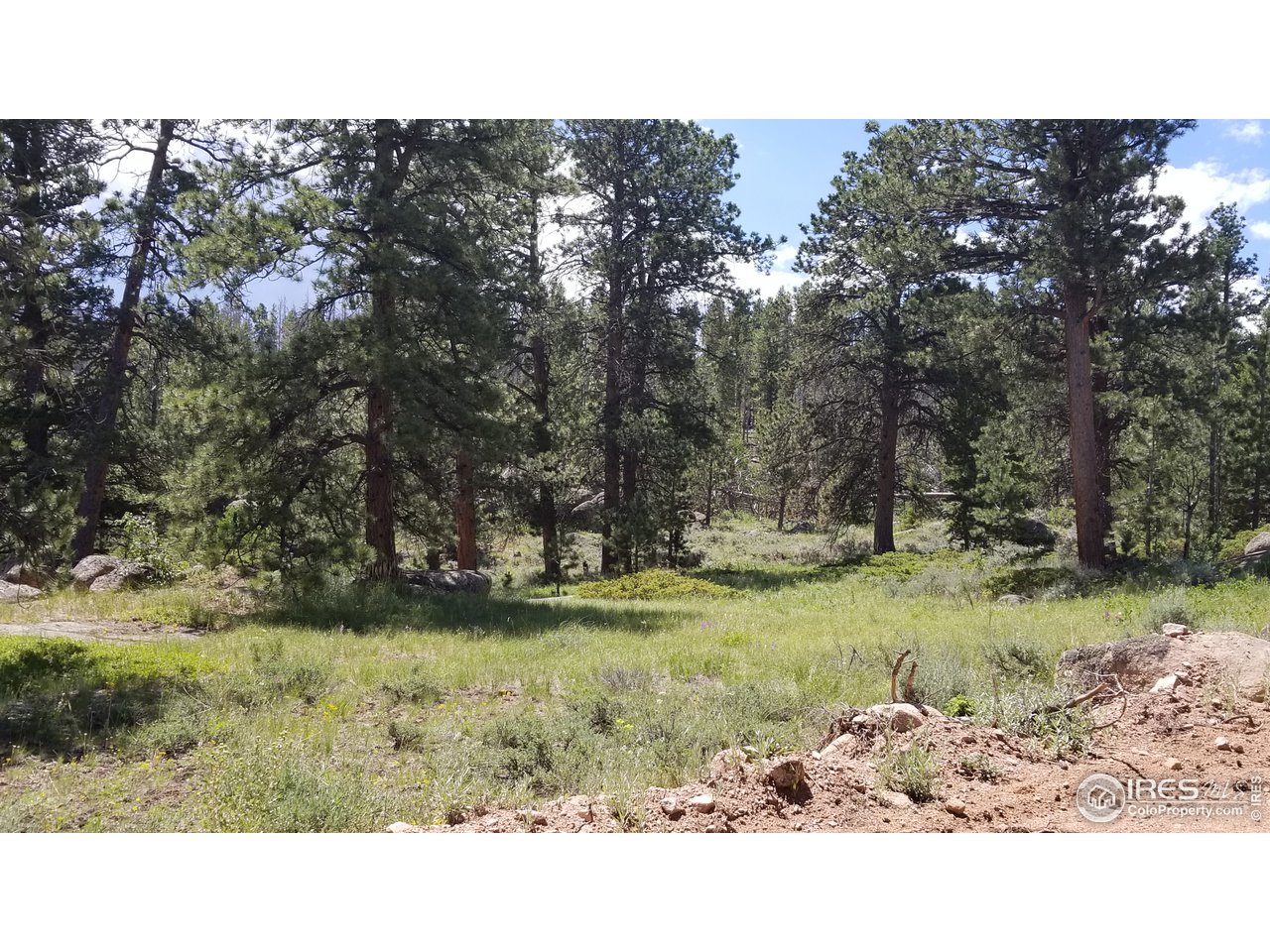1330 Crow Road Red Feather Lakes, CO 80545 - Photo 4 of 11 Gallery Image 4