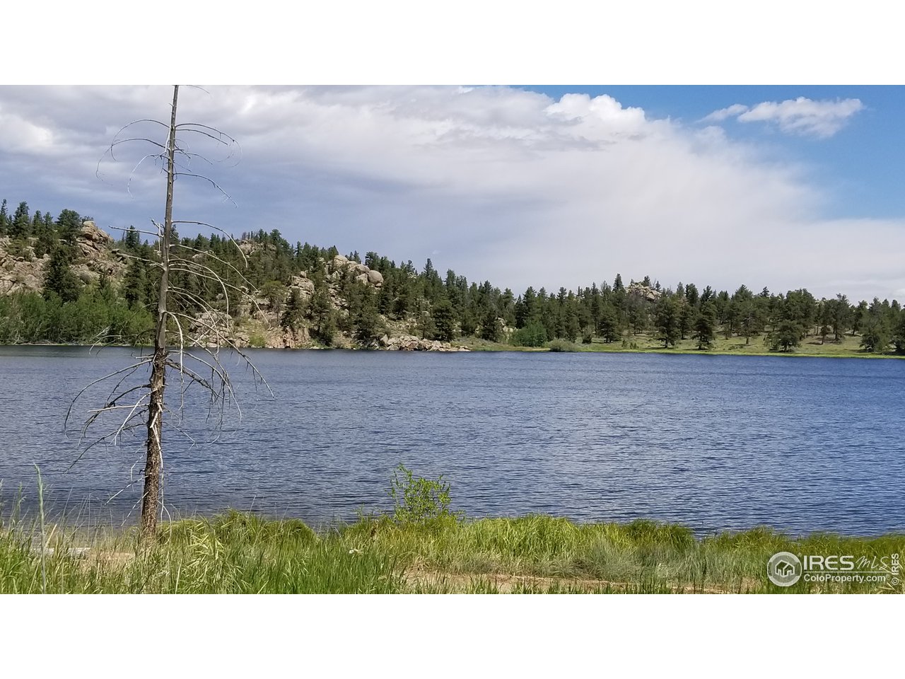 1330 Crow Road Red Feather Lakes, CO 80545 - Photo 5 of 11 Gallery Image 5