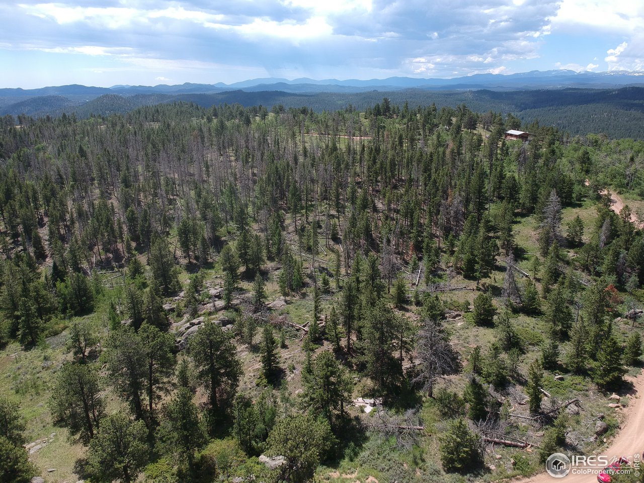 1330 Crow Road Red Feather Lakes, CO 80545 - Photo 6 of 11 Gallery Image 6