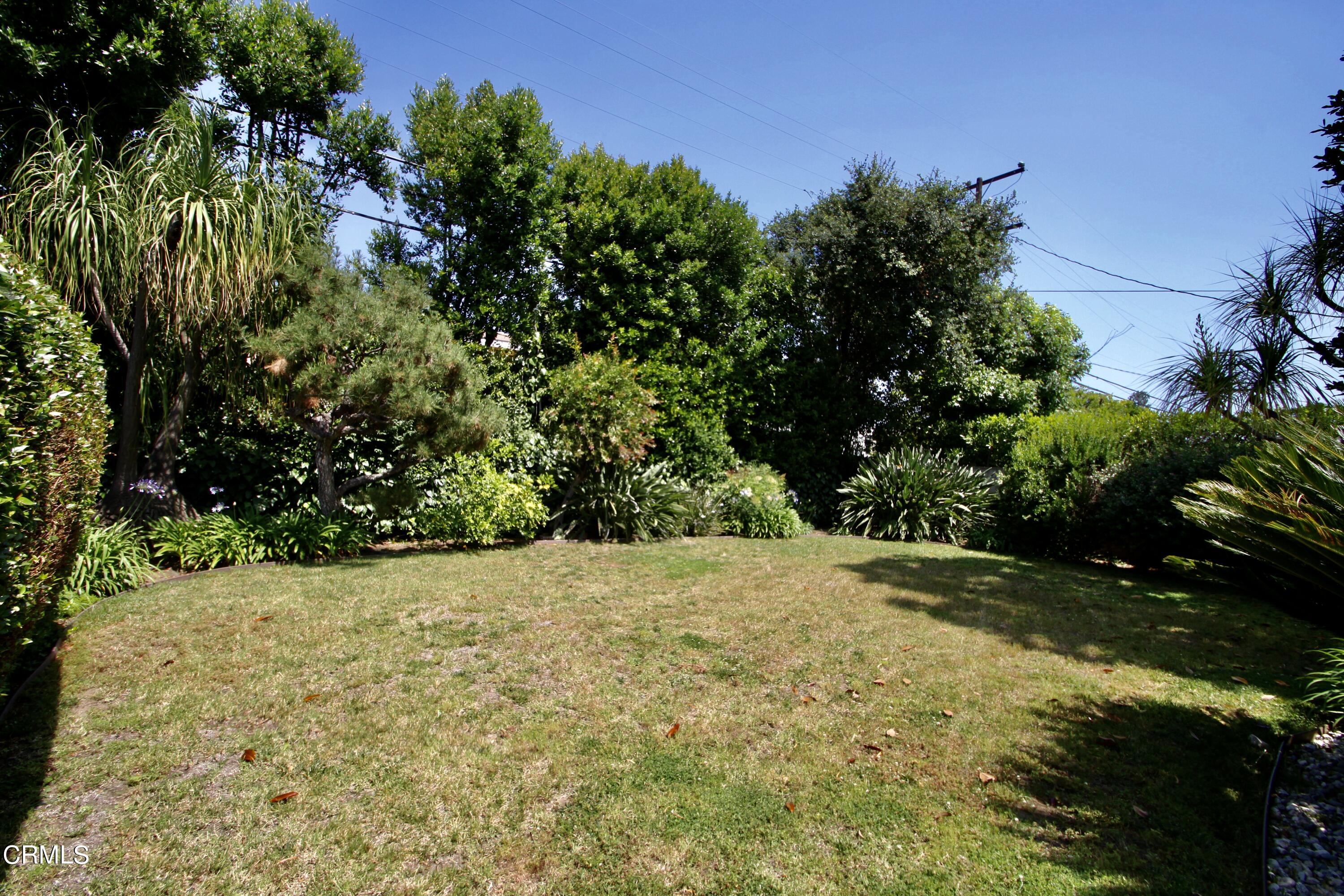 310 Santa Rosa Road Arcadia, CA 91007 - Photo 20 of 21 a view of a yard with plants and trees