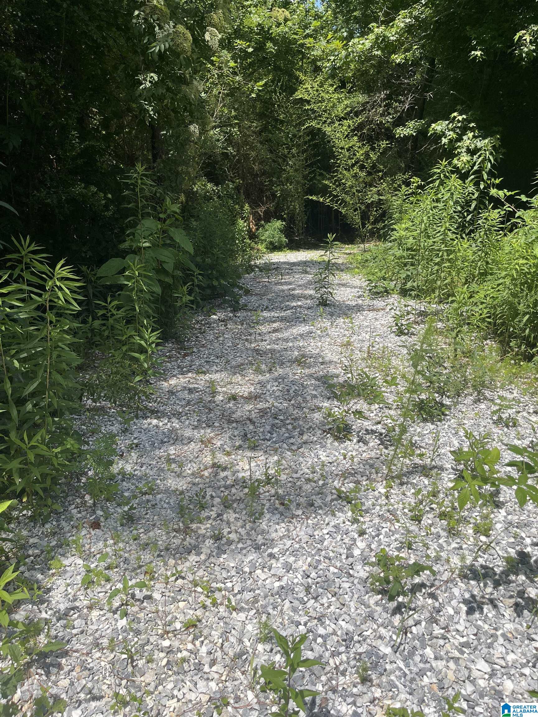 385 Carr Road Alpine, AL 35014 - Photo 3 of 7