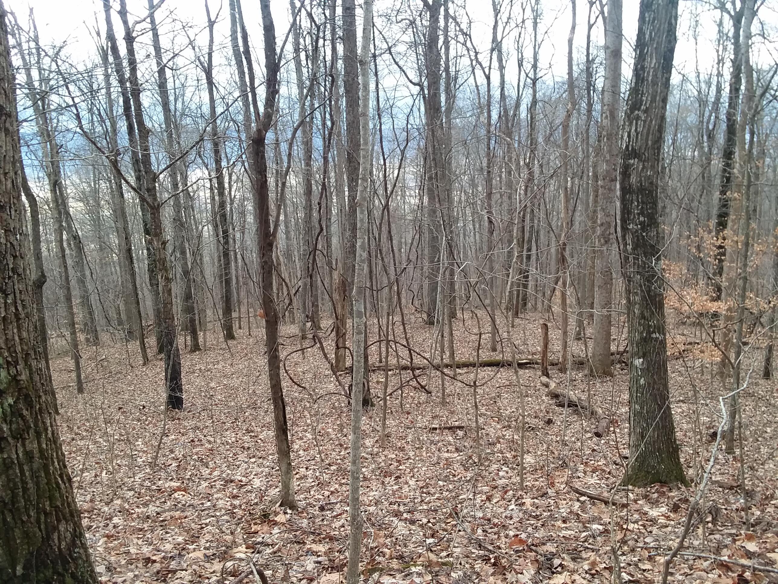 114 Rigsby Toll Road, Unit 114 Pikeville, TN 37367 - Photo 1 of 10 20230125_133105