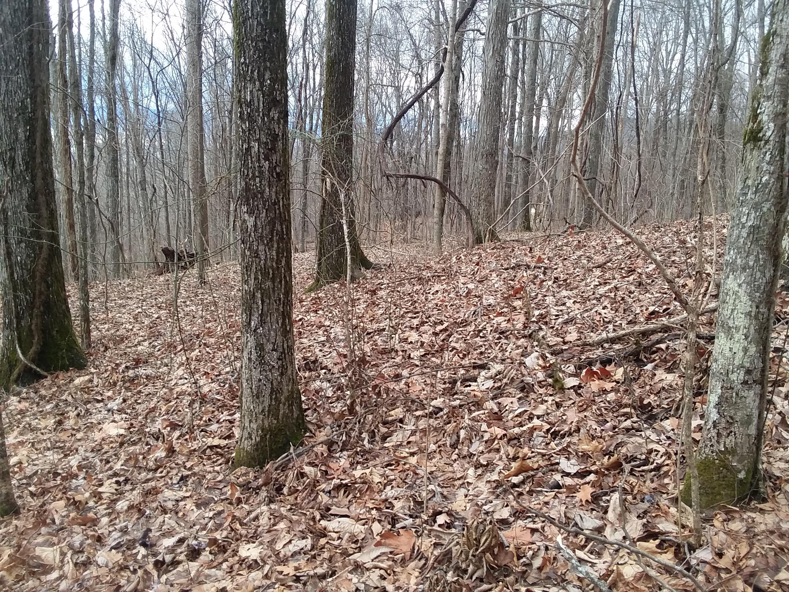114 Rigsby Toll Road, Unit 114 Pikeville, TN 37367 - Photo 3 of 10 20230125_133229