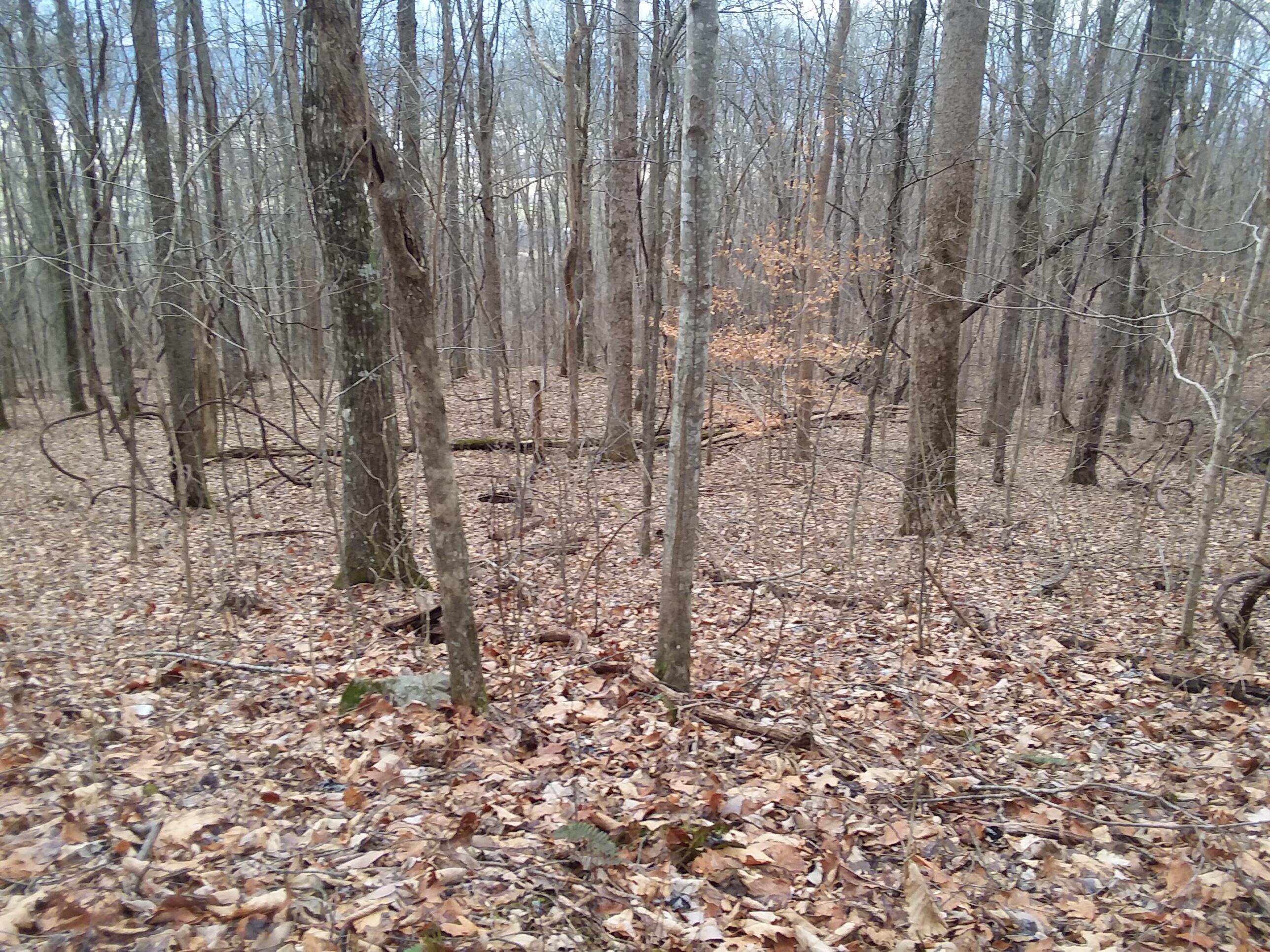 114 Rigsby Toll Road, Unit 114 Pikeville, TN 37367 - Photo 8 of 10 20230125_133050