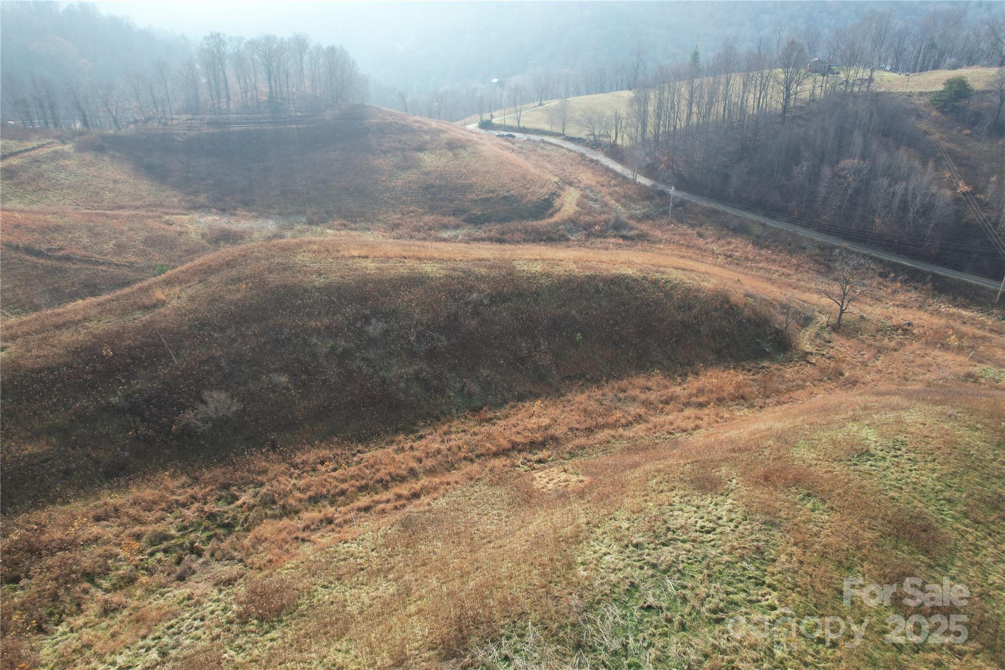 385 Fork Mountain Road Bakersville, NC 28705 - Photo 12 of 21 a view of a yard