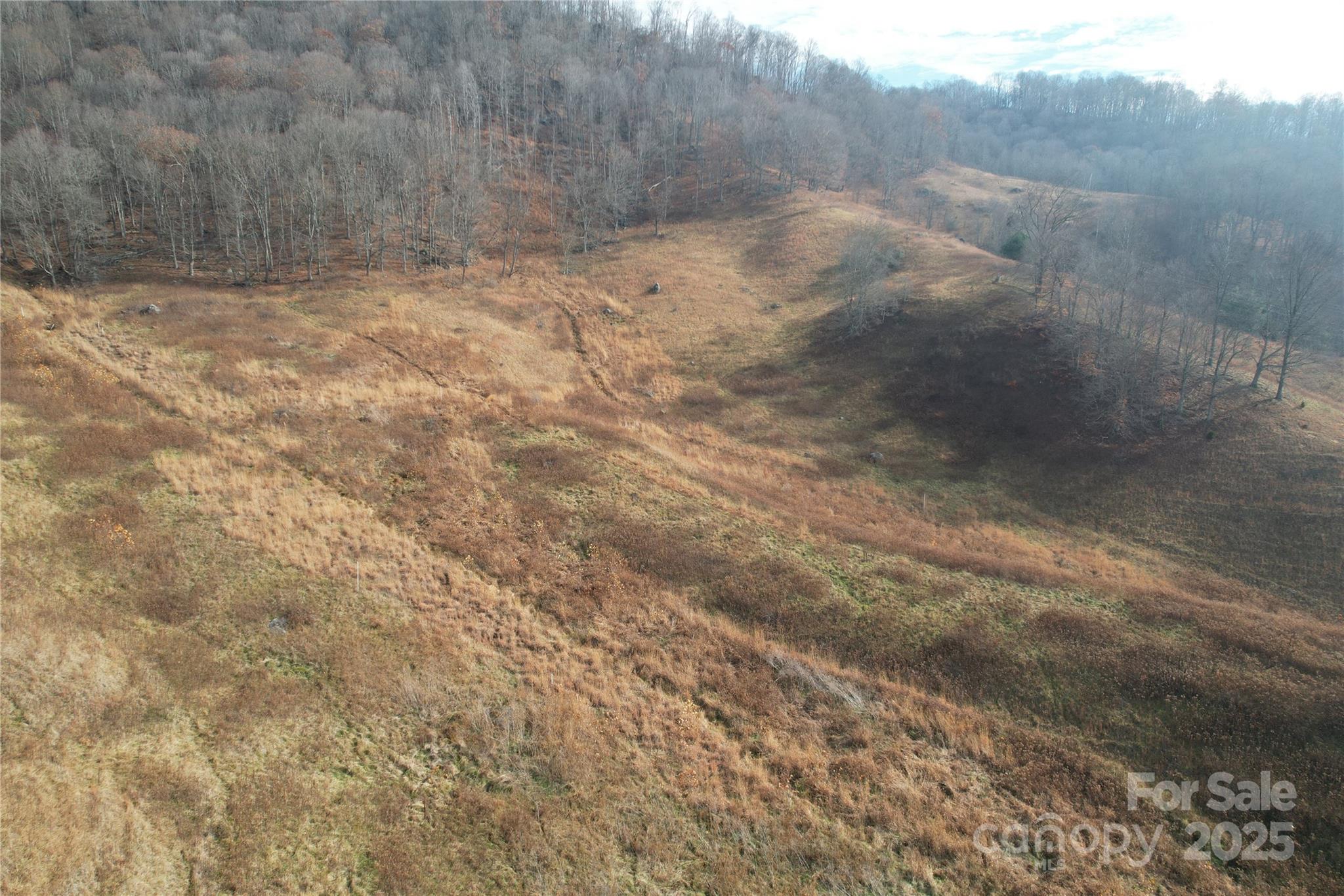 385 Fork Mountain Road Bakersville, NC 28705 - Photo 13 of 21 a view of a dry yard