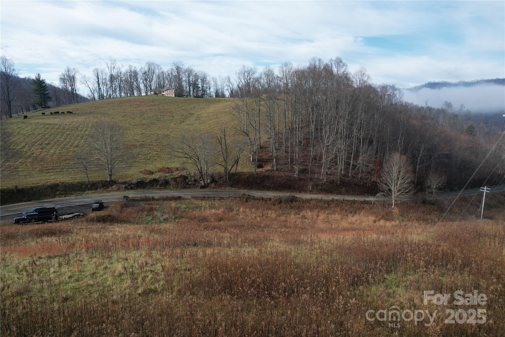 385 Fork Mountain Road Bakersville, NC 28705 - Photo 14 of 21 a view of outdoor space with green field and covered with fog