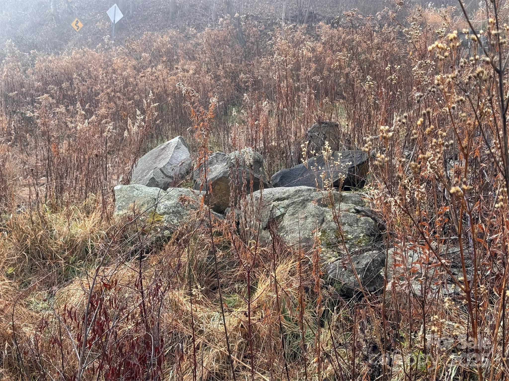 385 Fork Mountain Road Bakersville, NC 28705 - Photo 16 of 21 a view of a tree in a forest