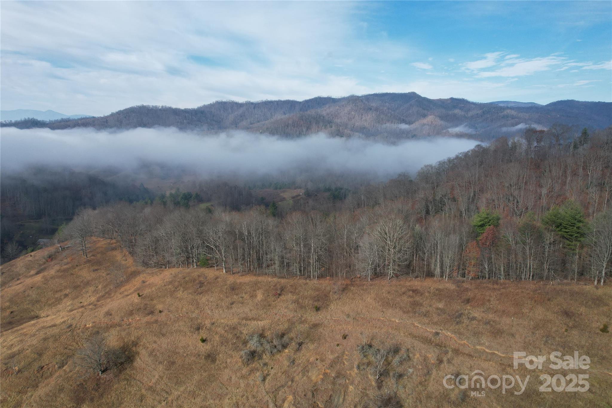 385 Fork Mountain Road Bakersville, NC 28705 - Photo 19 of 21 a view of house with mountains in the background