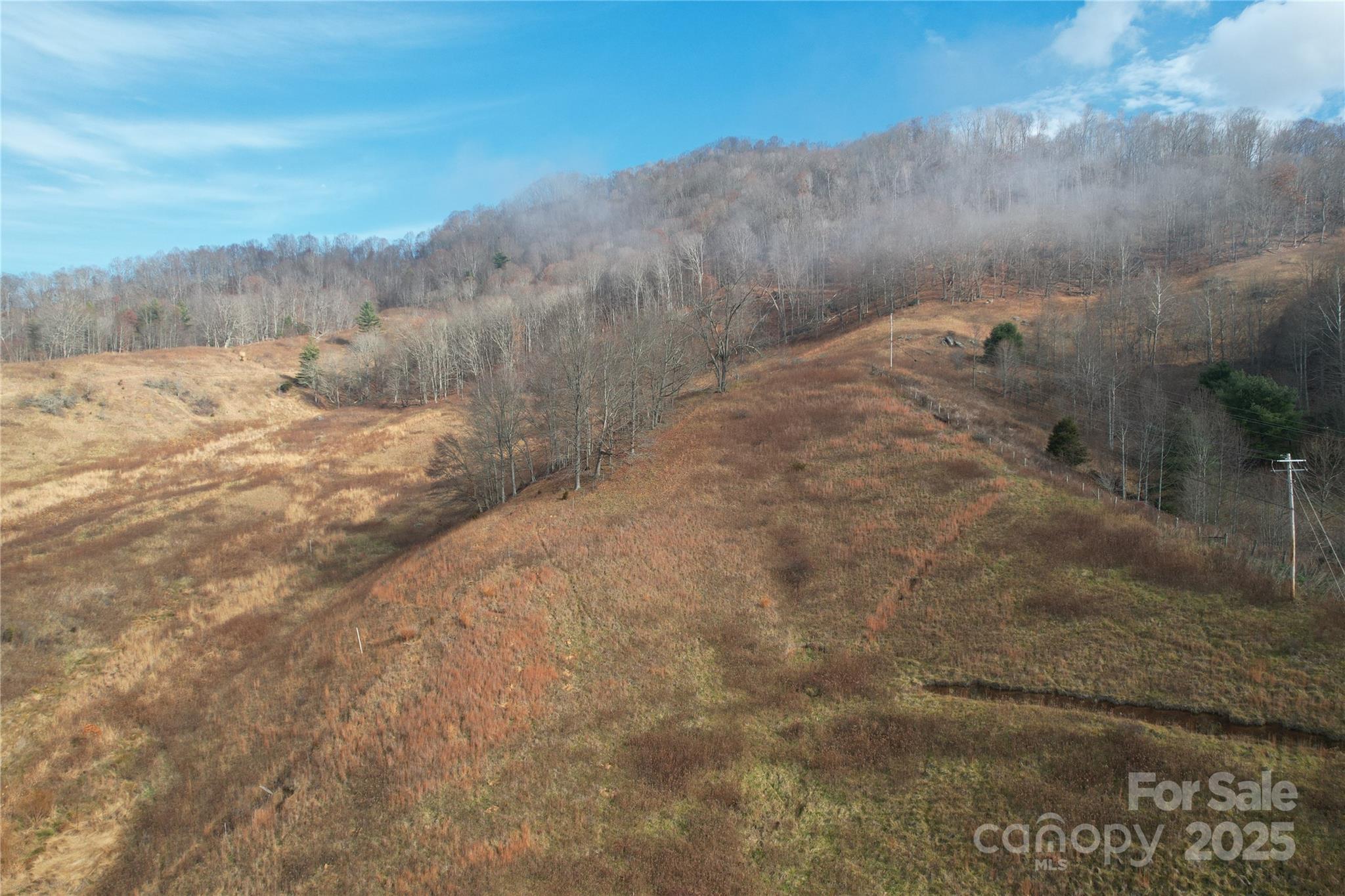 385 Fork Mountain Road Bakersville, NC 28705 - Photo 2 of 21 a view of a dry yard with mountains in the background