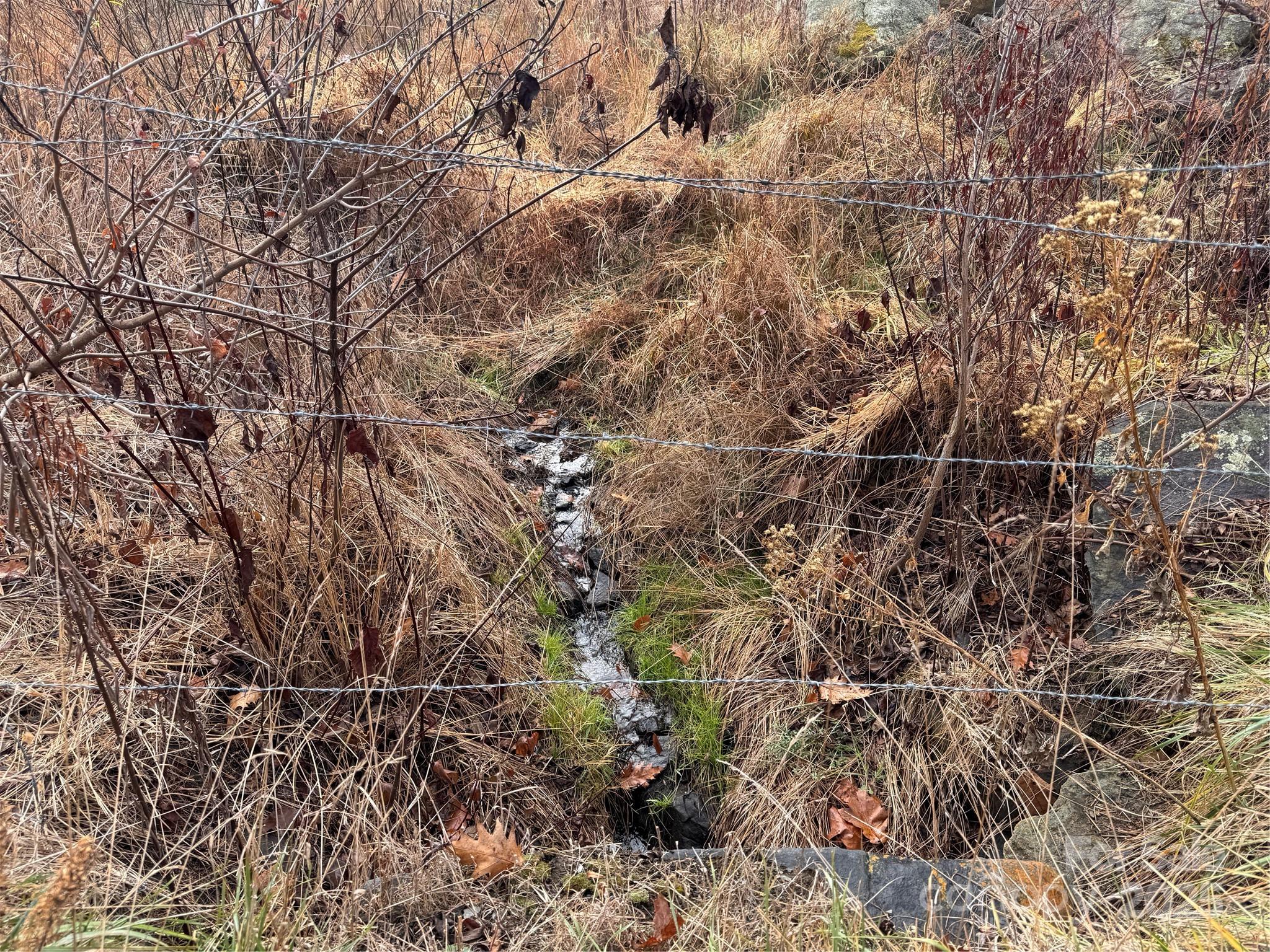 385 Fork Mountain Road Bakersville, NC 28705 - Photo 21 of 21 a backyard of a house