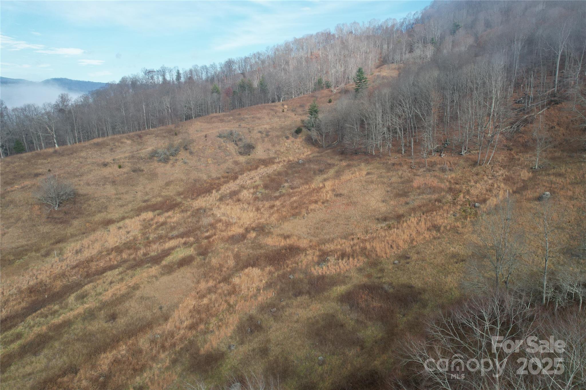 385 Fork Mountain Road Bakersville, NC 28705 - Photo 3 of 21 a view of a dry yard