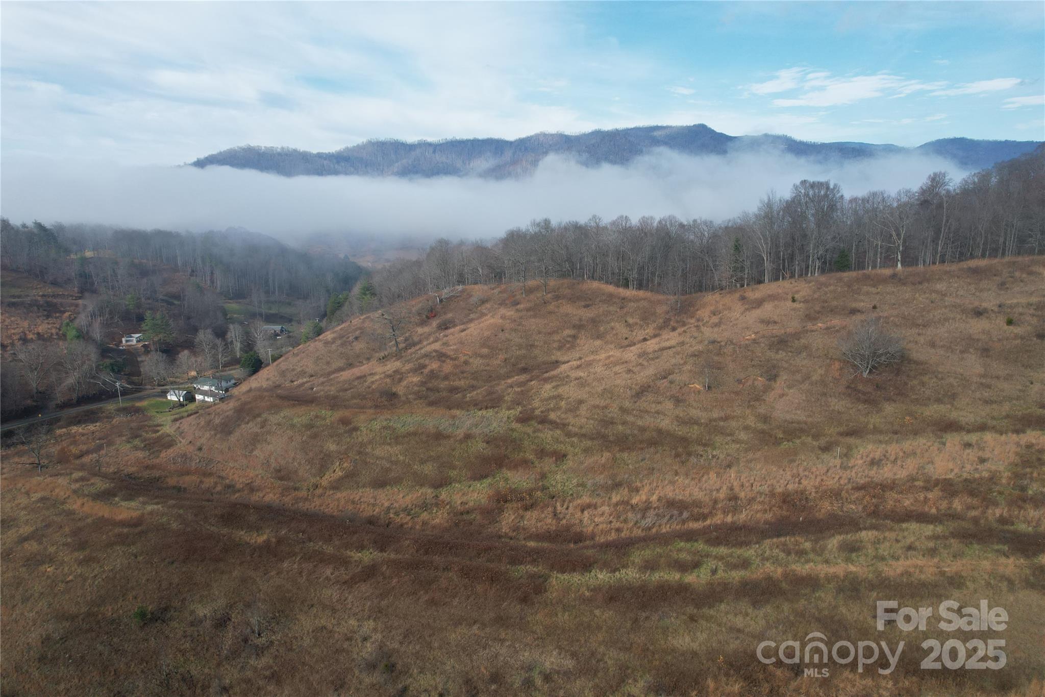 385 Fork Mountain Road Bakersville, NC 28705 - Photo 5 of 21 a view of a dry yard with mountains in the background