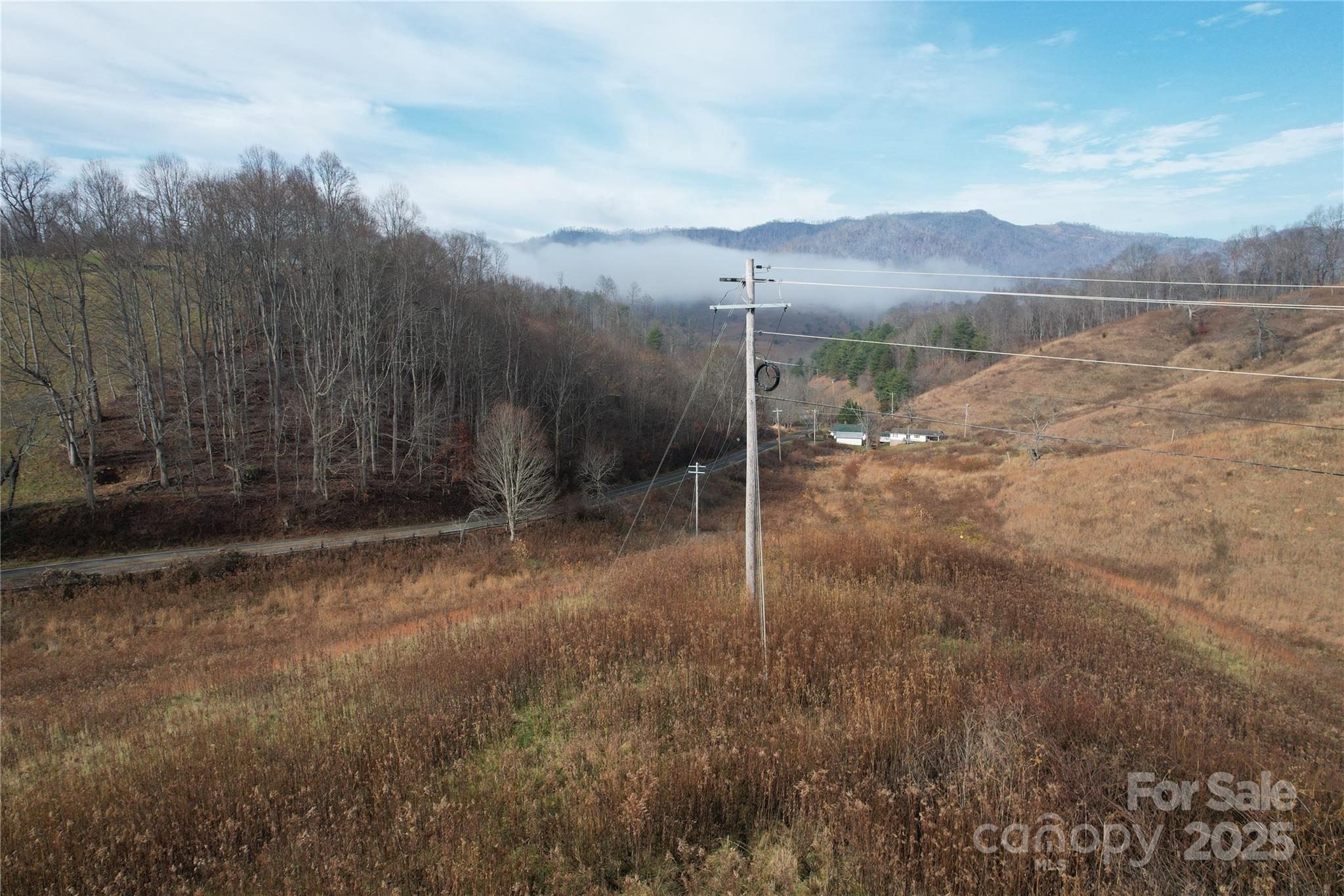 385 Fork Mountain Road Bakersville, NC 28705 - Photo 7 of 21 a view of a backyard