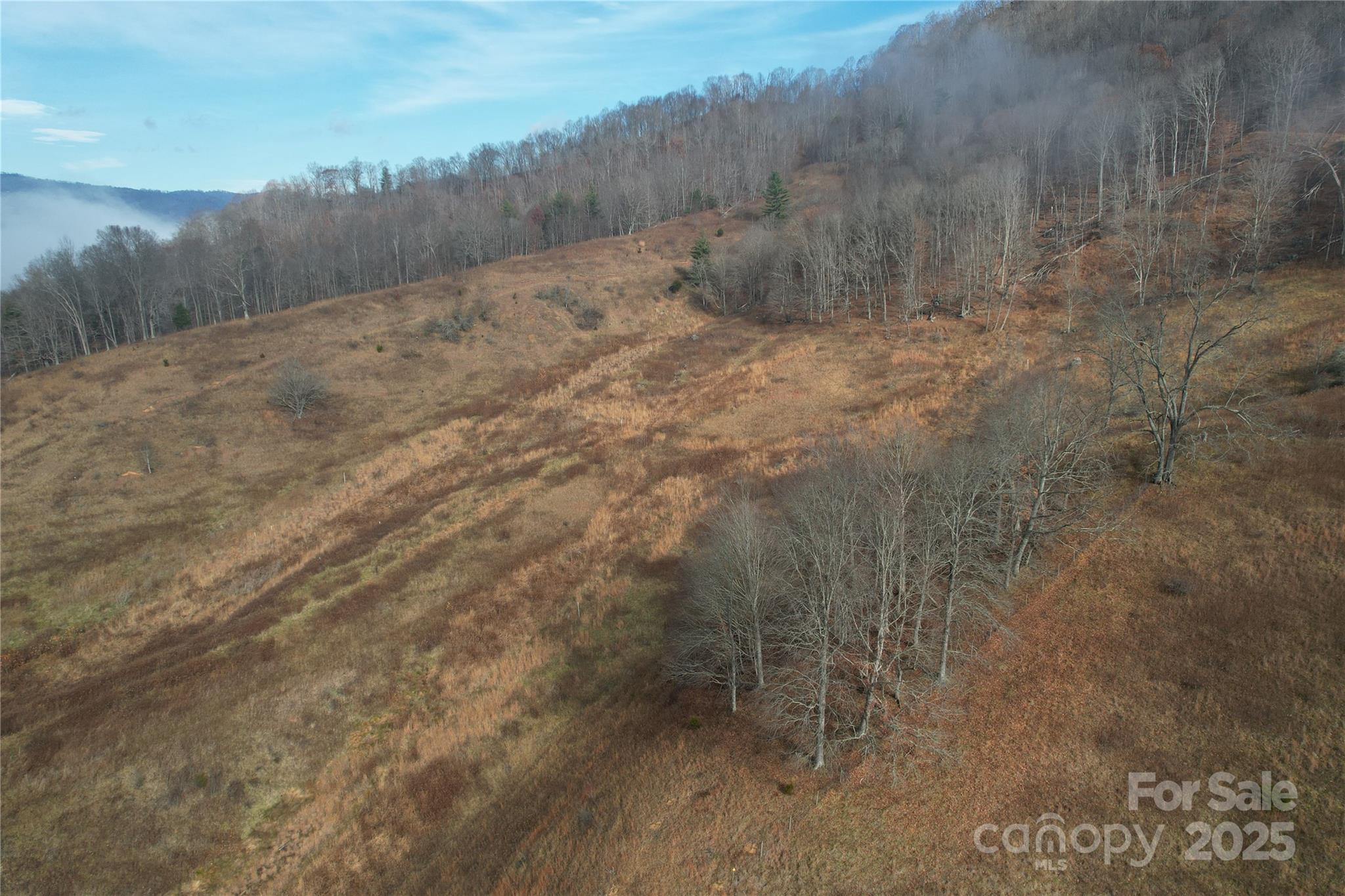 385 Fork Mountain Road Bakersville, NC 28705 - Photo 10 of 21 a view of a dry yard