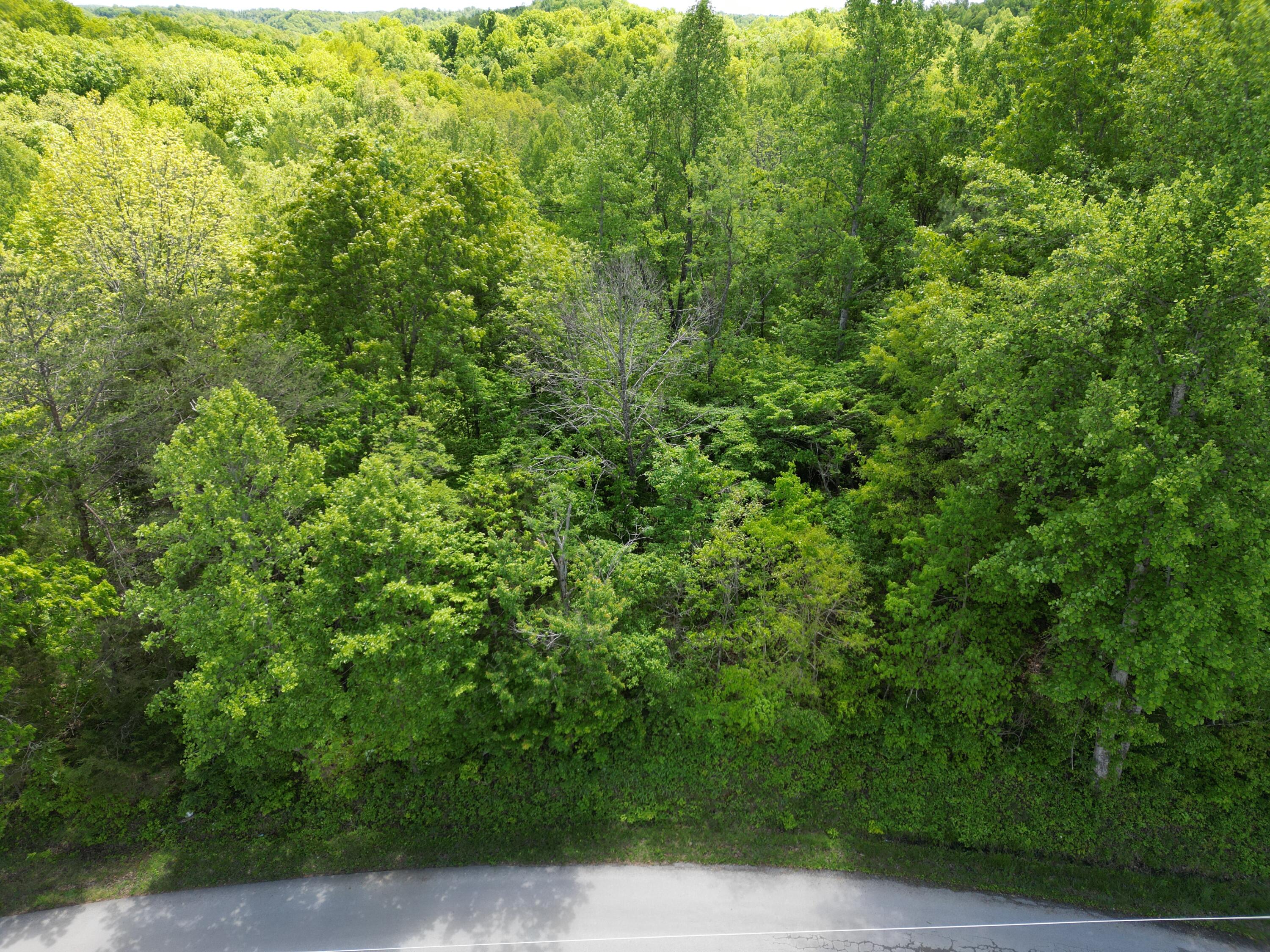 9999 Chestnut Flat Road McKee, KY 40447 - Photo 16 of 16 DJI_0961