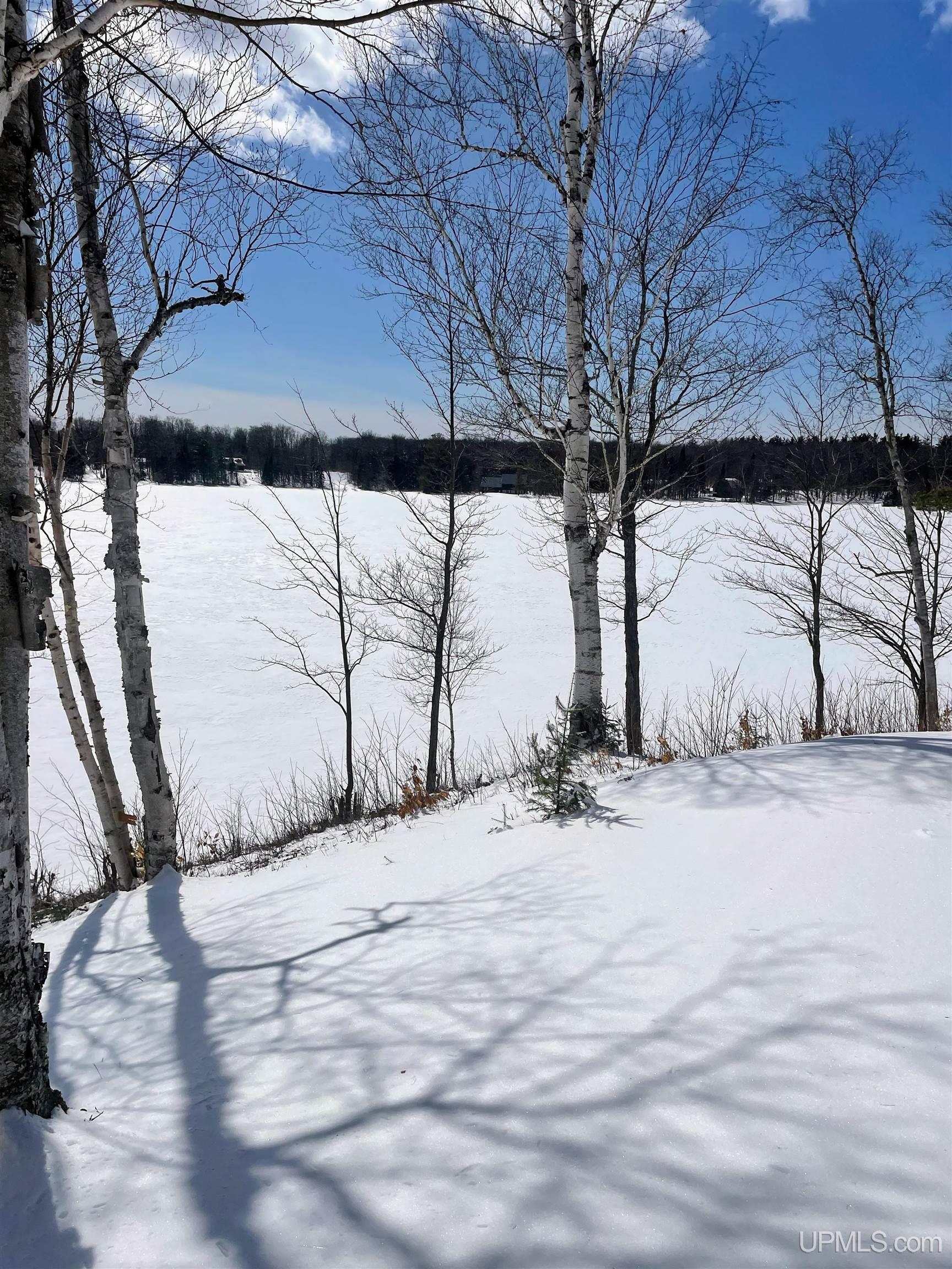 32399 West Piatt Lake Road Eckerman, MI 49728 - Photo 41 of 49
