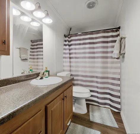 a bathroom with a sink a toilet a mirror and shower curtain