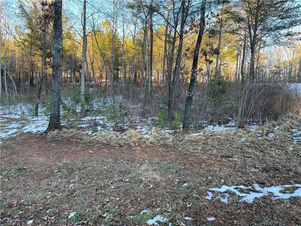 Lot 79 Quiet Pne Road Seneca, SC 29672 - Photo 1 of 9 Gallery Image 1