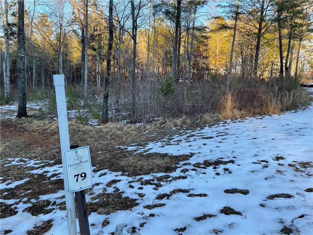Lot 79 Quiet Pne Road Seneca, SC 29672 - Photo 2 of 9 Gallery Image 2