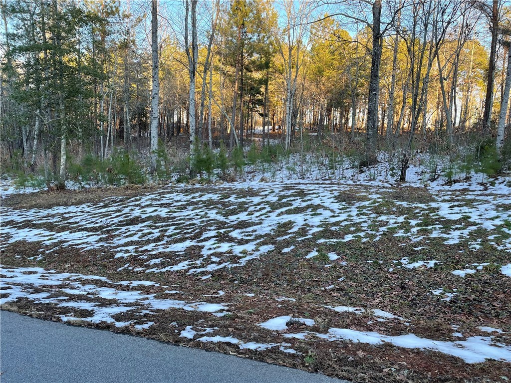 Lot 79 Quiet Pne Road Seneca, SC 29672 - Photo 4 of 9 Gallery Image 4
