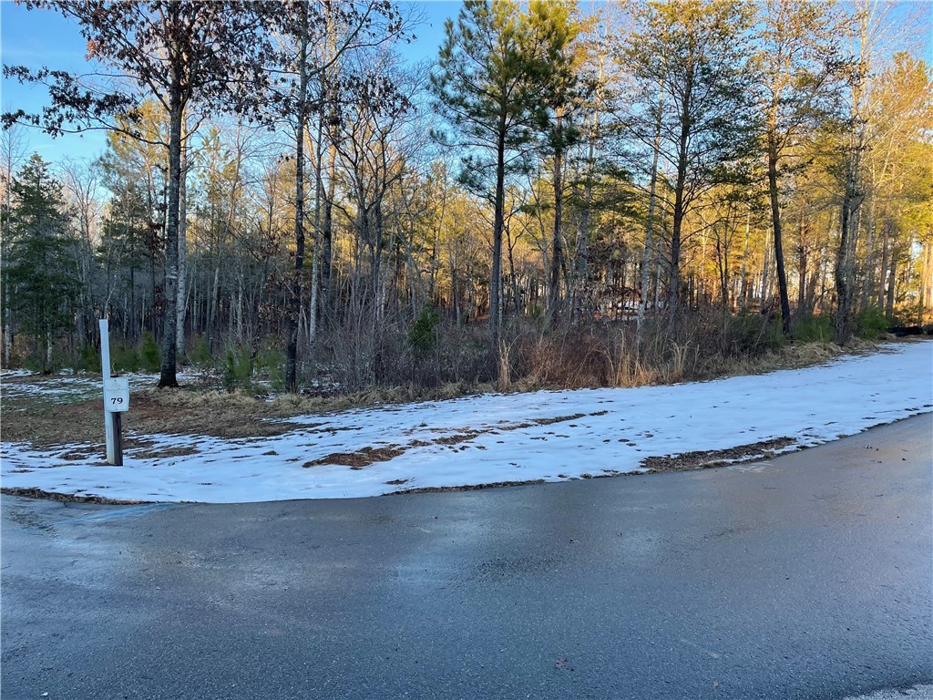 Lot 79 Quiet Pne Road Seneca, SC 29672 - Photo 5 of 9 Gallery Image 5