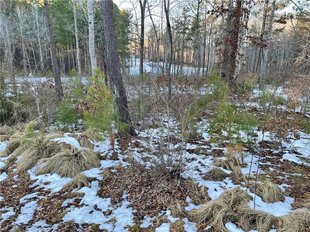 Lot 79 Quiet Pne Road Seneca, SC 29672 - Photo 8 of 9 Gallery Image 8